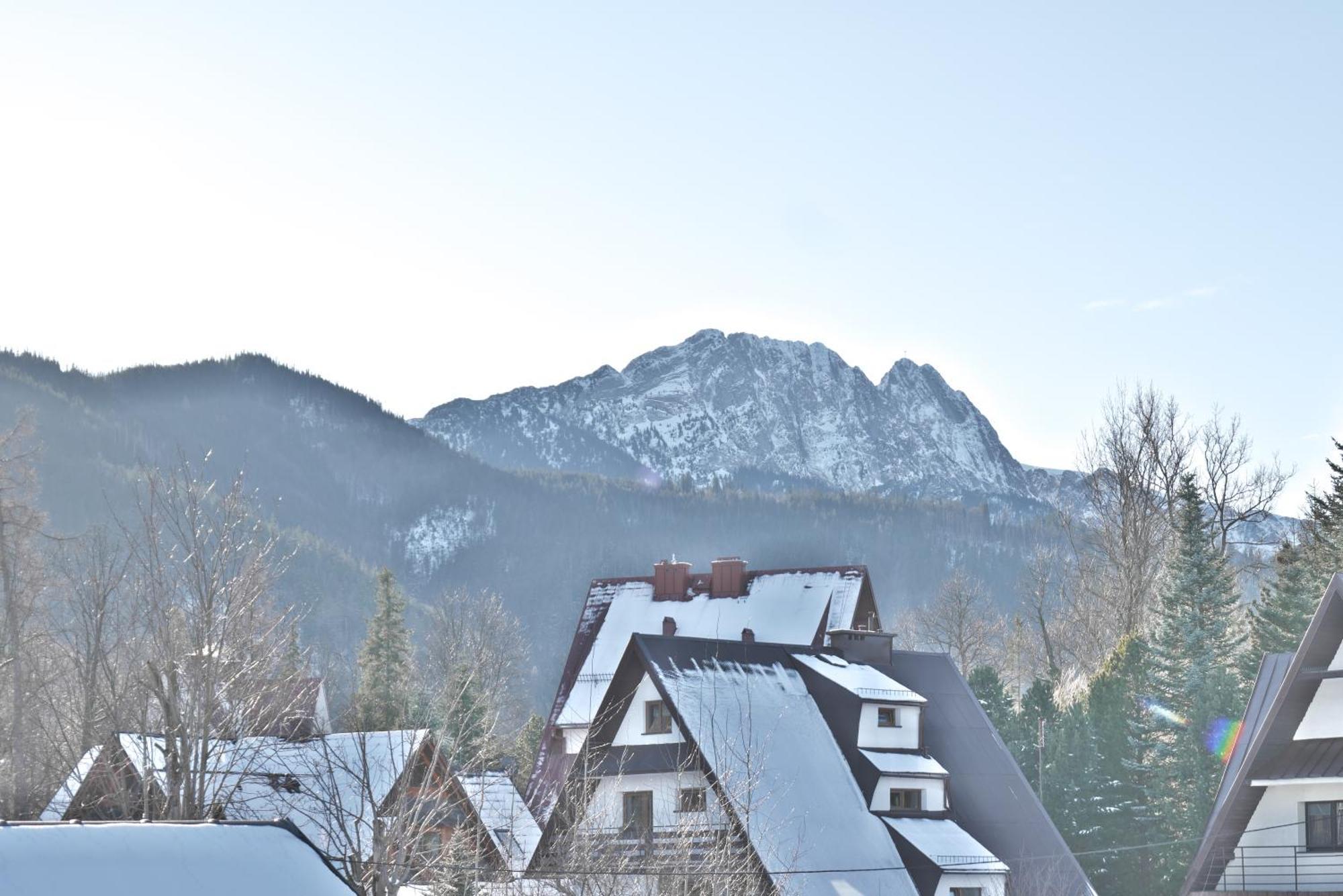 Willa Cicha Zakopane Exterior photo